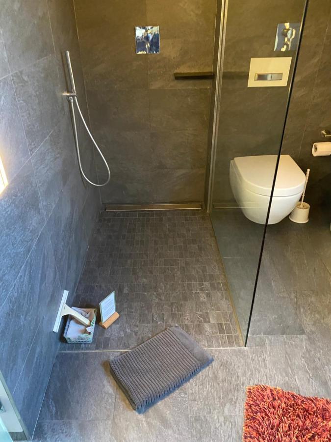 Apartment Mit Dachloggia Saarlouis Εξωτερικό φωτογραφία