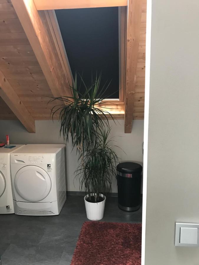 Apartment Mit Dachloggia Saarlouis Εξωτερικό φωτογραφία